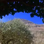 Bargoncello