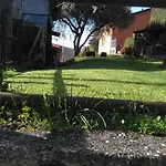 Bargoncello Daire *