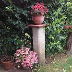 Bargoncello *