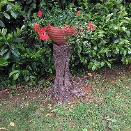 Bargoncello Lägenhet *