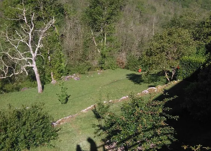 Bargoncello Riccò del Golfo di Spezia