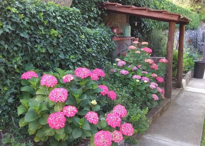 Bargoncello Lejlighed Riccò del Golfo di Spezia