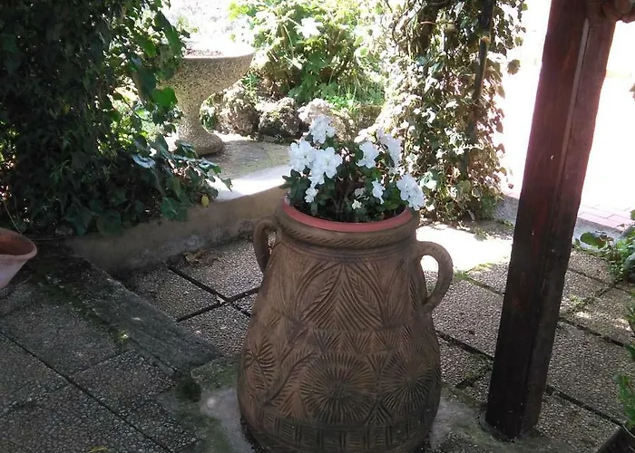 Bargoncello Riccò del Golfo di Spezia