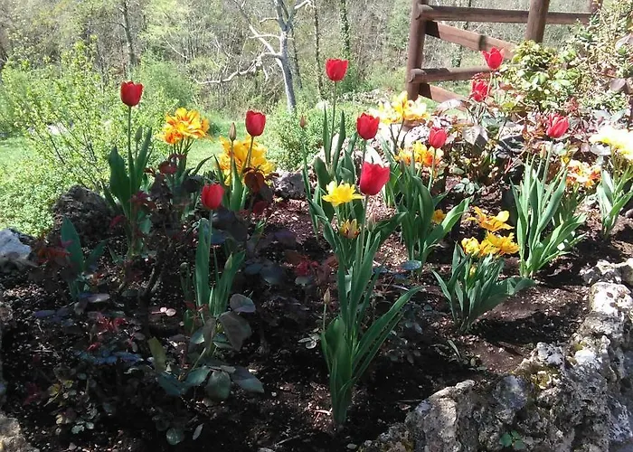 Bargoncello Apartmán *