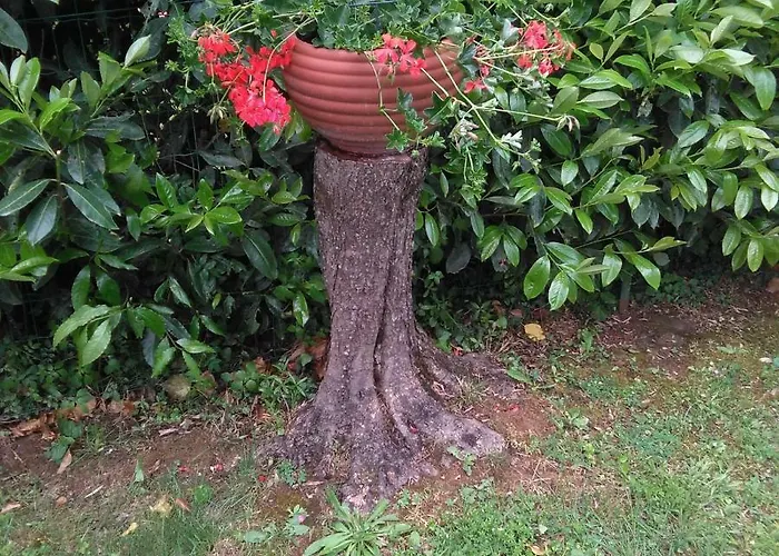 Bargoncello Apartmán *