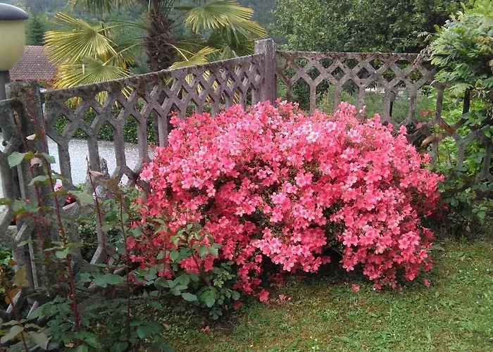 Bargoncello Apartmán *