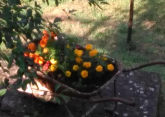 Bargoncello Apartmán