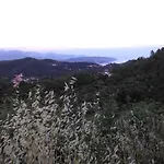 Bargoncello *