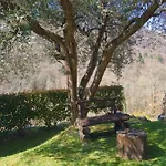 Bargoncello *