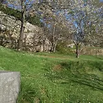 Bargoncello