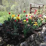 Bargoncello 아파트 *