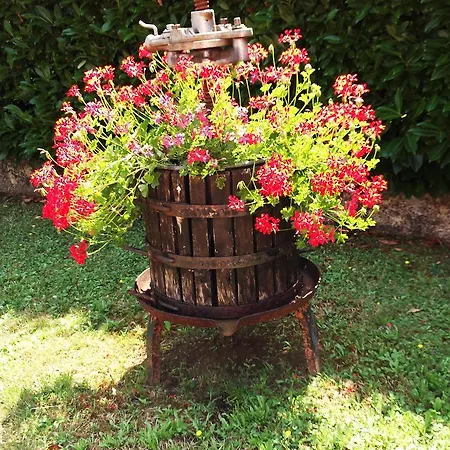 Bargoncello *