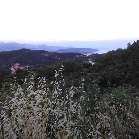 Bargoncello *