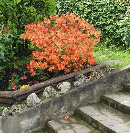 Bargoncello * Riccο del Golfo di Spezia