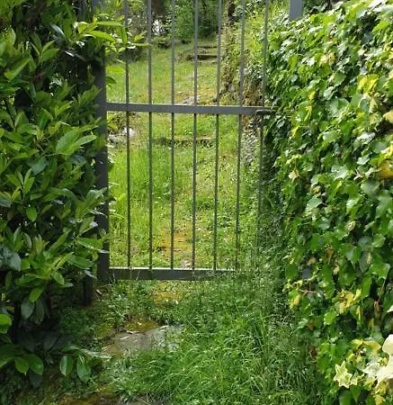 Bargoncello Daire Riccò del Golfo di Spezia