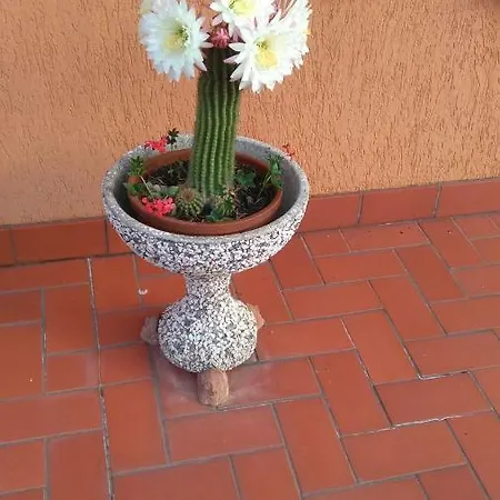 Appartement Bargoncello Riccò del Golfo di Spezia