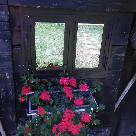 Bargoncello ريكو ديل غولفو دي سبيزيا