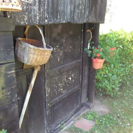 Bargoncello *