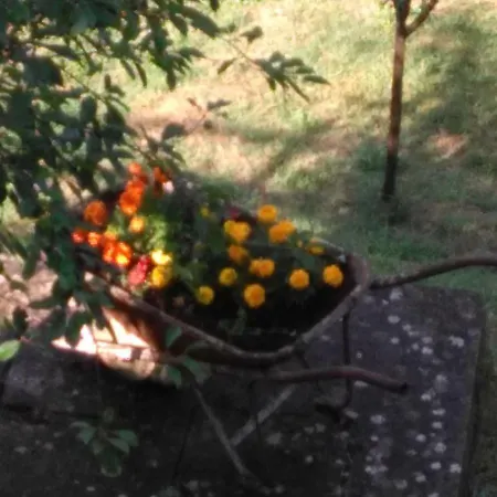 Bargoncello Appartement