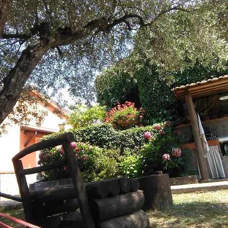 Bargoncello *