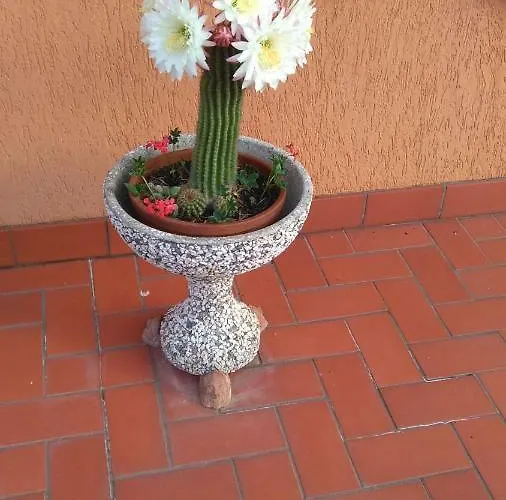 Apartman Bargoncello Riccò del Golfo di Spezia