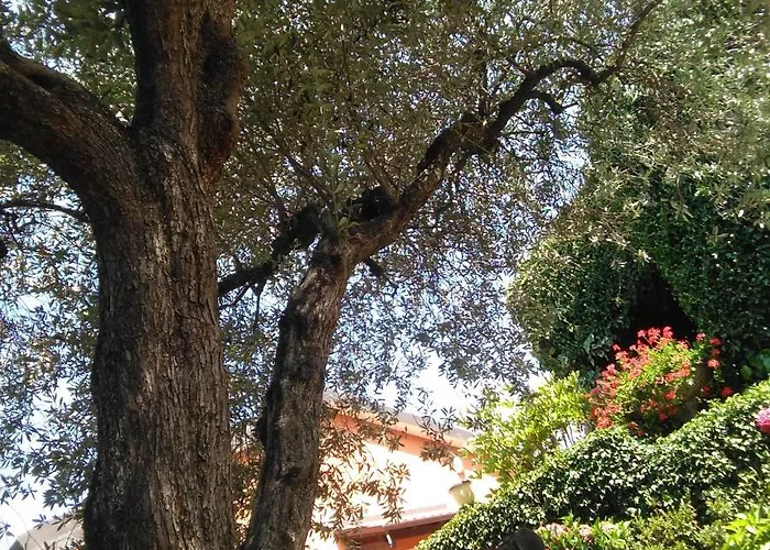 Apartman Bargoncello Riccò del Golfo di Spezia